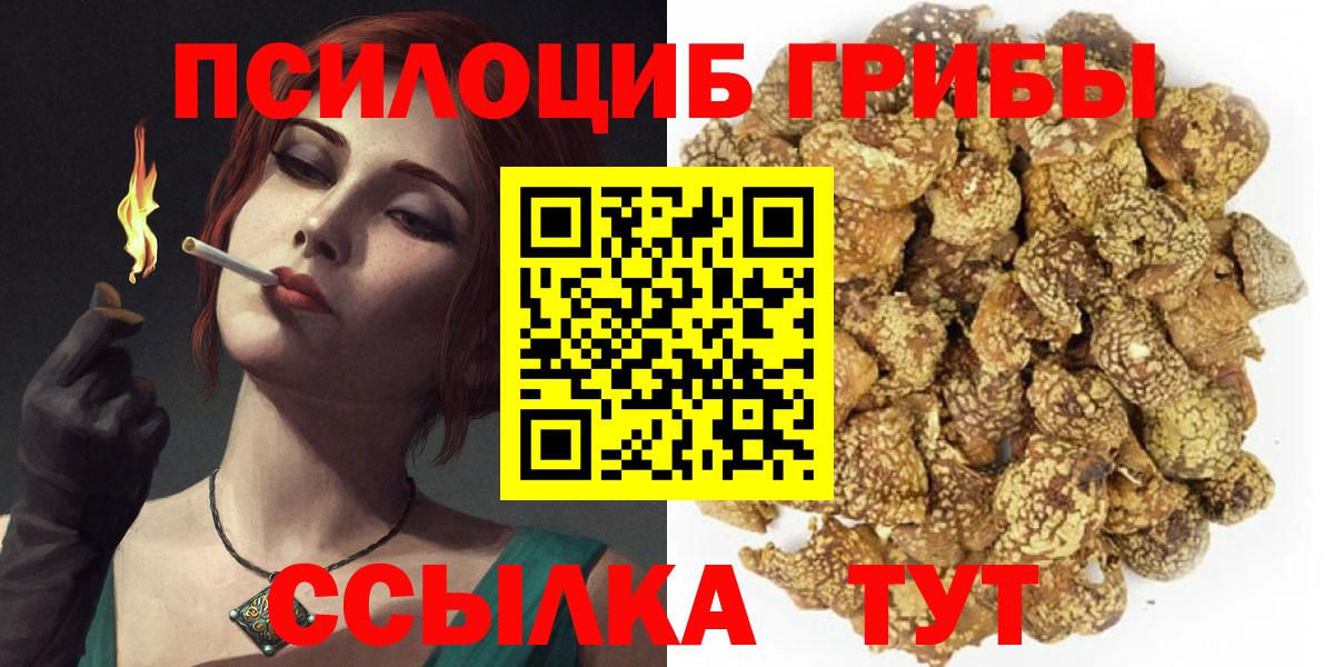 Галлюциногенные грибы прущие грибы  Вход с VPN  Бердск 